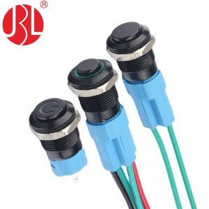 Custom IPX5 Waterproof LED Metal Push Button Switch 12mm SPST