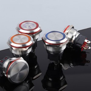 Non Illuminated 25mm Anti Vandal Switch DPDT