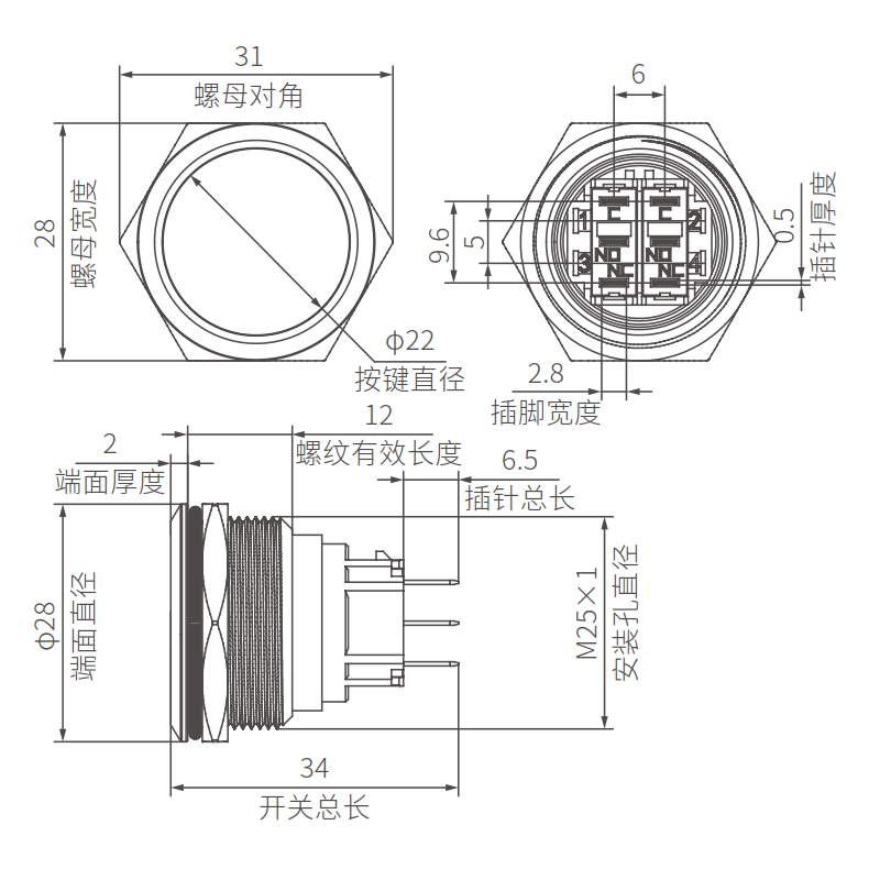 Non Illuminated 25mm Anti Vandal Switch DPDT