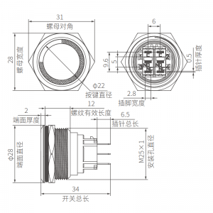 Ring Illumination 25mm Flat Anti Vandal Switch DPDT