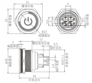 Illuminated 25mm Flat Anti Vandal Switch DPDT