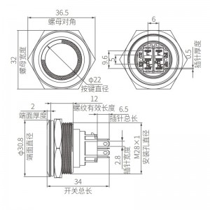 Custom Ring Illumination Flat Push Button Switch DPDT