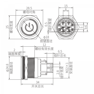 Custom 22mm Push Button Switch DPDT