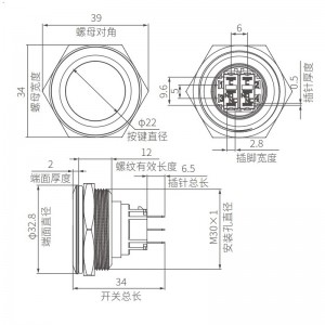 Non Illuminated 30mm Push Button Switch