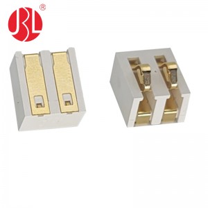 BT-002AE 4.1mm Pitch Spring Battery Connector Contact 2Pin SMT