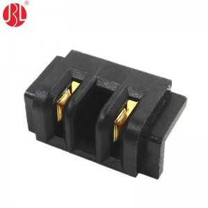 BT-250-B02F-S1-nP 2.5mm Mistake Proofing Female Blade Type Power Connector Thru Hole