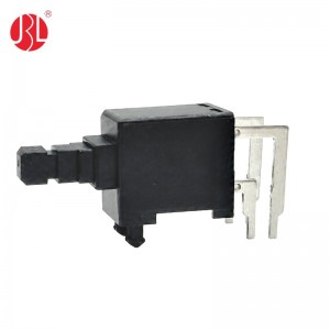 PB-101-B2 DPST Push Button Switch THT Hole RA