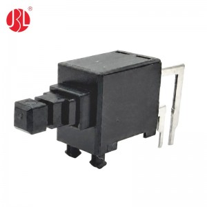 PB-101-B2 DPST Push Button Switch THT Hole RA
