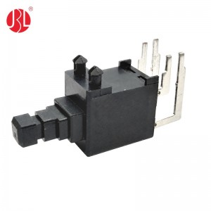 PB-101-B2 DPST Push Button Switch THT Hole RA