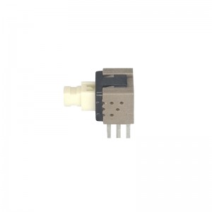 PB-22E60L180C DPDT Push Button Switch DPDT Through Hole Right Angle