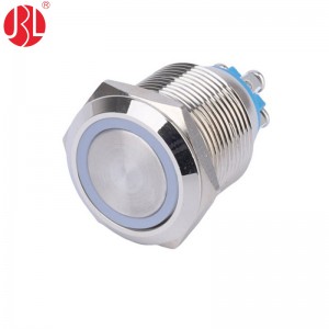 PBM-P19ZJ-E 19mm LED Anti Vandal Switch Screw Terminals