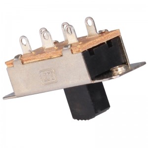 SS-22K28 Panel Mount Slide Switch DPDT