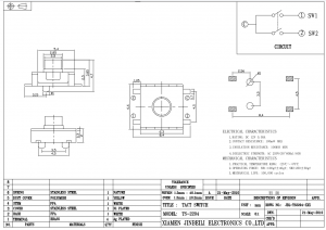 TS-2204 Tastschalter DPDT SMD