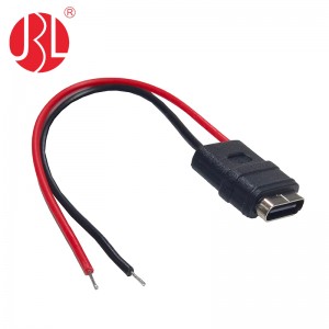 USB-20C-F-06F03L USB-Typ-C-Anschluss zur Schalttafelmontage