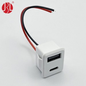 Snap In Panel Mount USB A and USB C Stacked Connector Cable Assembly