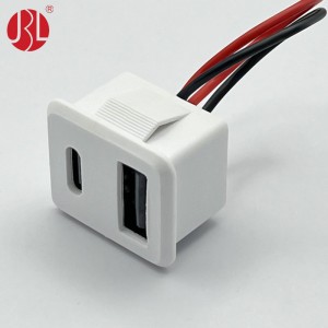 Snap In Panel Mount USB A and USB C Stacked Connector Cable Assembly