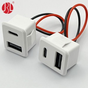 Snap In Panel Mount USB A and USB C Stacked Connector Cable Assembly