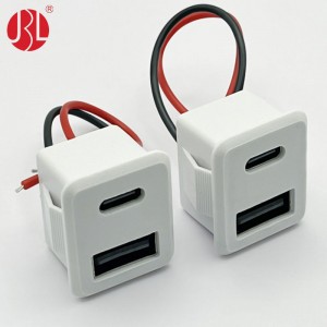 Snap In Panel Mount USB A and USB C Stacked Connector Cable Assembly