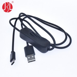 Custom USB 2.0 Type A Male to USB Type C Male Cable with On Off Switch