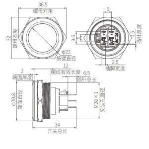 Non Illuminated 28mm Flat Push Button Switch DPDT