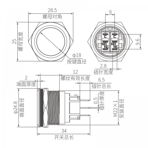 Custom Non Illuminated 22mm Metal Push Button Switch DPDT