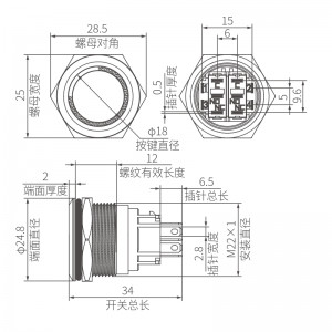 Custom 22mm Push Button Switch DPDT Ring Illumination